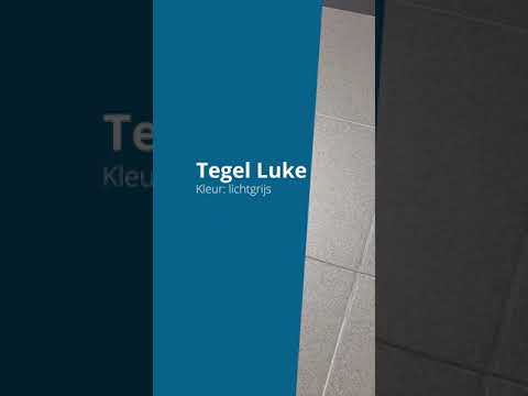 Vloer: tegel Luke lichtgrijs gespikkeld 0.7x30x30cm