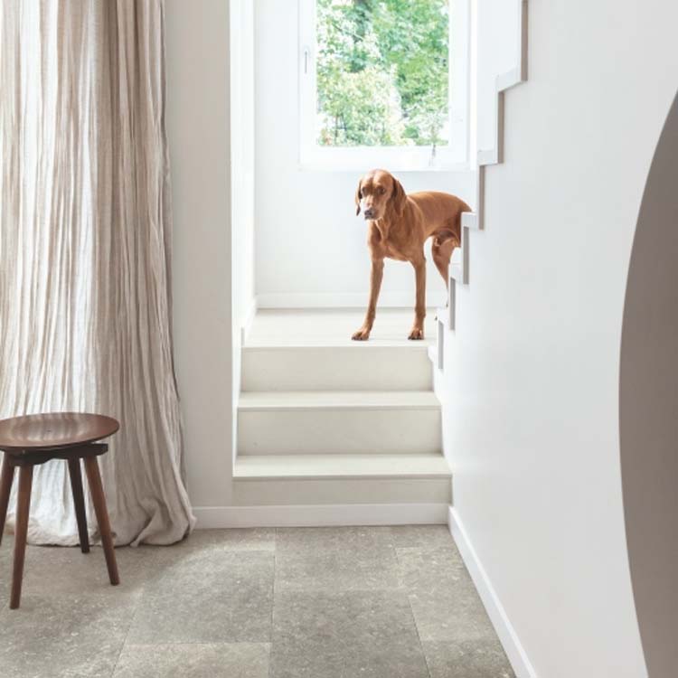 Laminaat Quick-Step Muse 8mm gesluierde blauwsteen 120x39,6cm