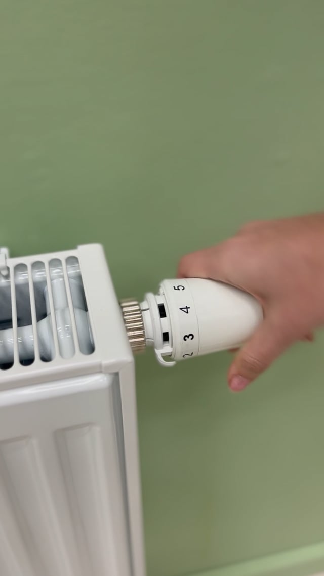 Radiateur type 22 8-connexion 50 x 100 cm 1507 watt