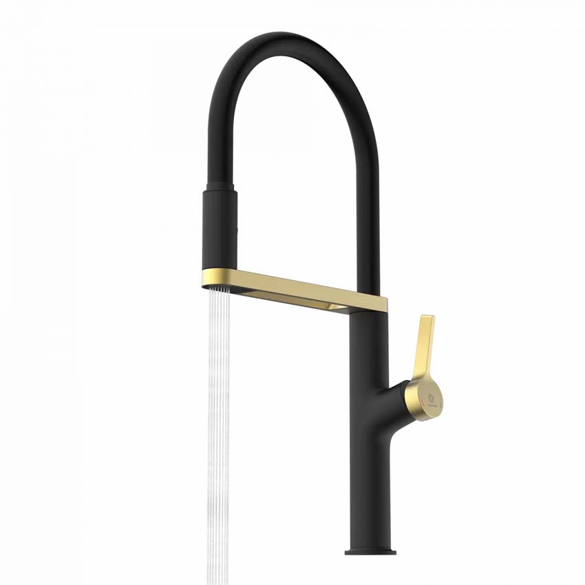 Keukenkraan Wasserwerk WK 2 mat zwart/mat goud met uittrekbare uitloop