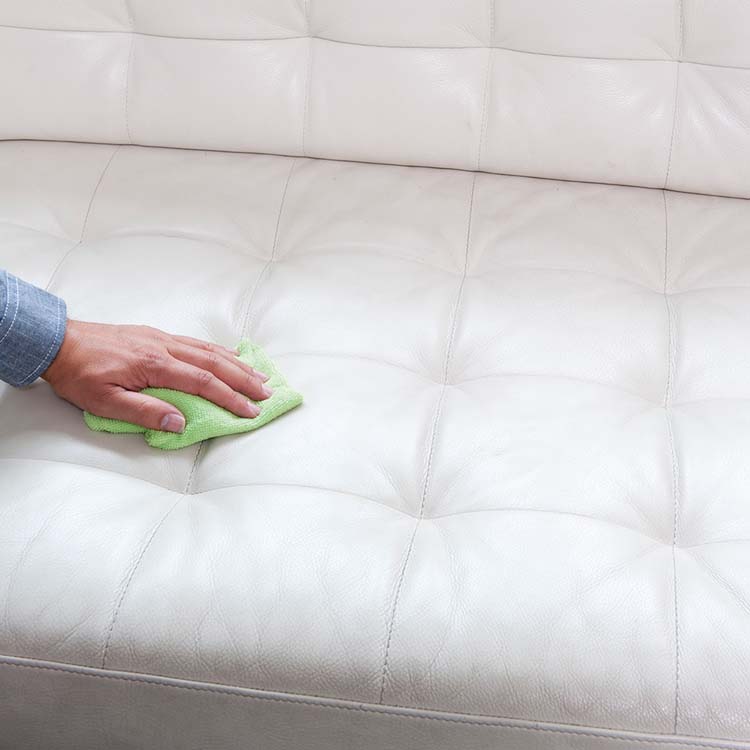 Spray pour cuir HG 300ml