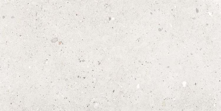 Carrelage de sol et mural Ego Avorio beige 60x120cm