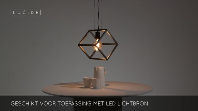 Hanglamp - zwart - 20x25x161cm - dimbaar - E27 - 40W - kooi