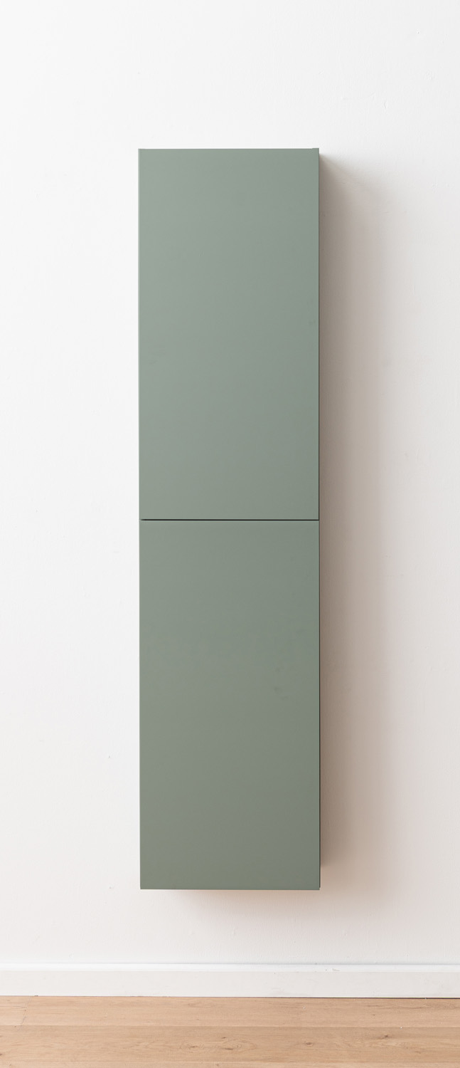 Kolomkast Raven mat saliegroen hangend 170x41,6x14,6cm
