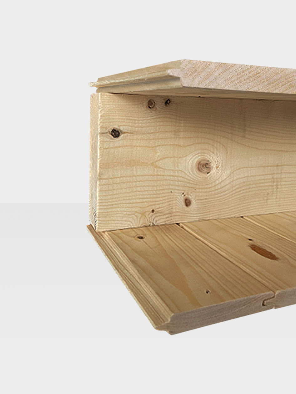 Studio de jardin Amelia L bois de pin naturel 390x300x236cm double porte