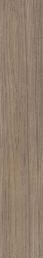 Carrelage de sol et mural Paloma chêne 20x120cm