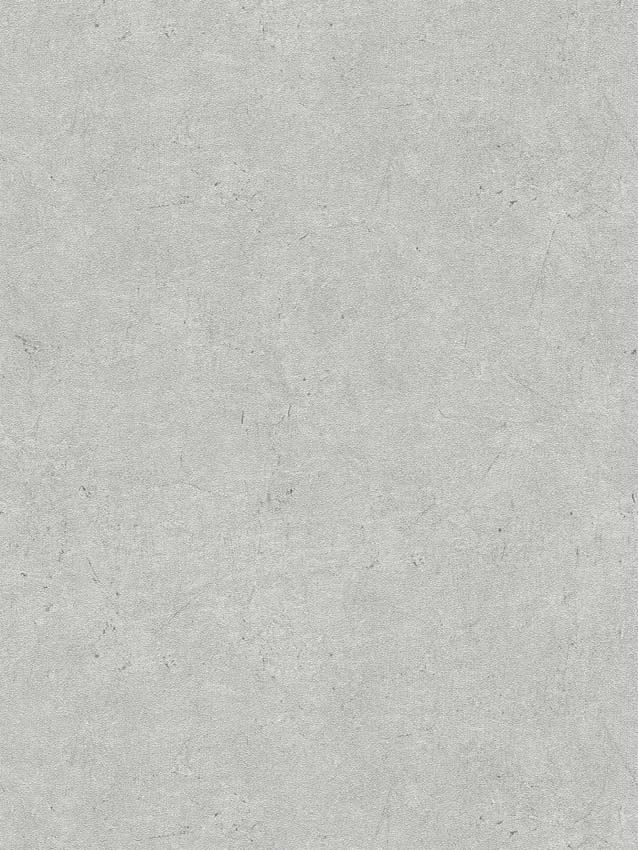 Vinyle sur papier peint intissé béton grainé gris clair 0,53x10,05m