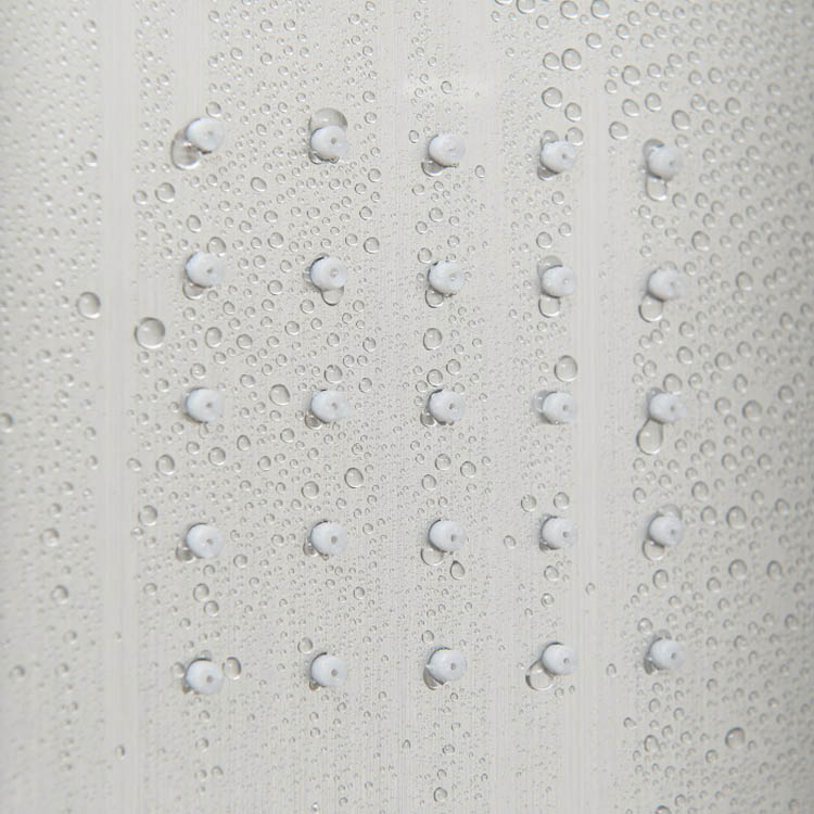 Doucheset Tosca 2 massagesproeiers inox