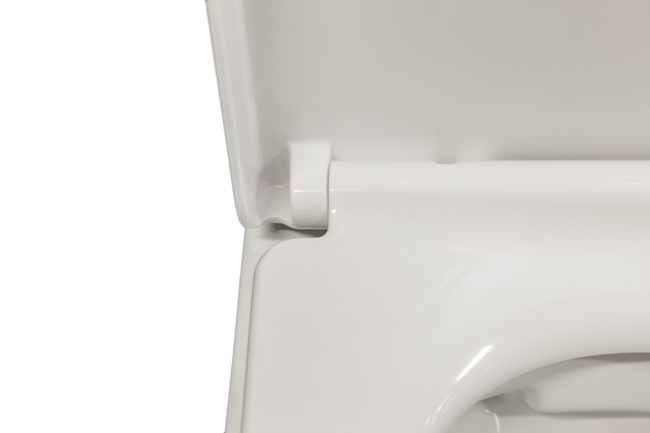 Hangtoilet Gary rimless wit verkort