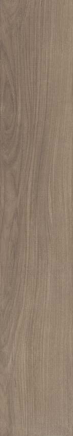 Carrelage de sol et mural Paloma chêne 20x120cm