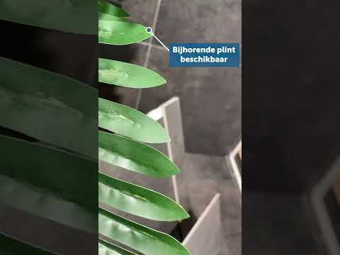 Carrelage Genesis anthracite rt 29.8 x 59.8 cm