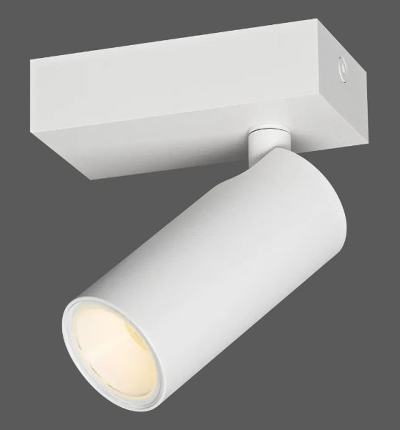 Spot en saillie - blanc mat - 9,5x5x13,1cm - 1xGU10 (MR11) max. 10W - IP44 - ampoules non incluses