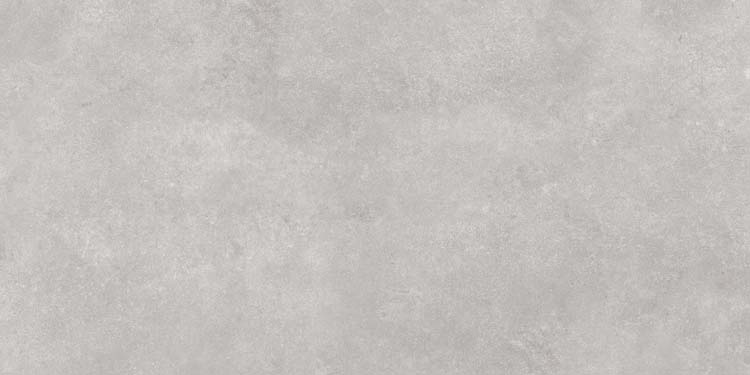 Carrelage de sol et mural Liam gris béton 60x120cm