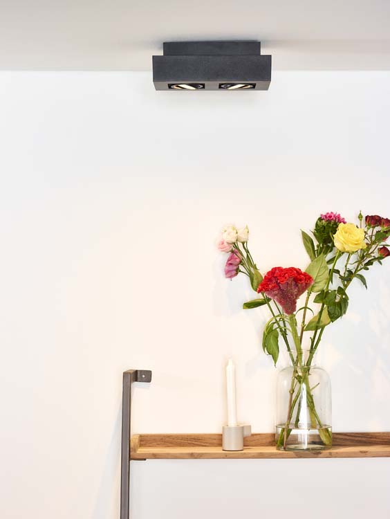 Plafondlamp - zwart - dimbaar - LED - GU10 - 2x5W - 2200/3000K