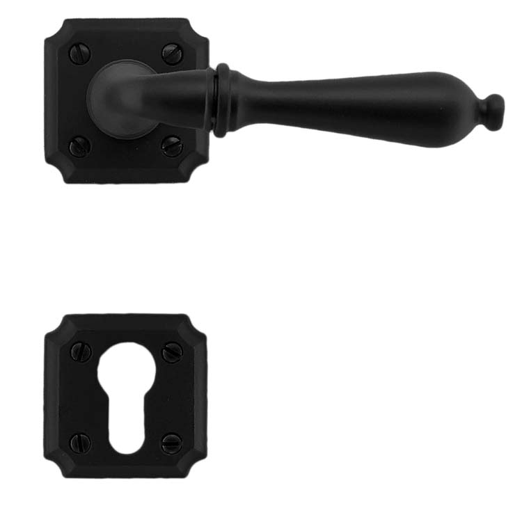 Poignée de porte pro roselle noir rosace cylindre