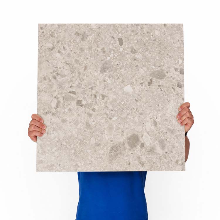Carrelage de sol et mural Lusso ceppo gris clair 60x60cm
