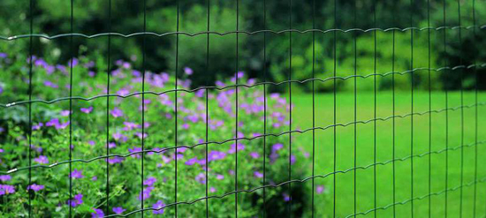 Tuindraad Eurowire Medium groen 25x1,5m