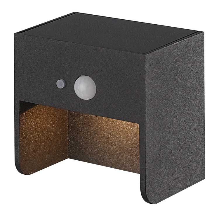Wandlamp buitenverlichting LED zwart 2W 3000K IP65 +SENSOR
