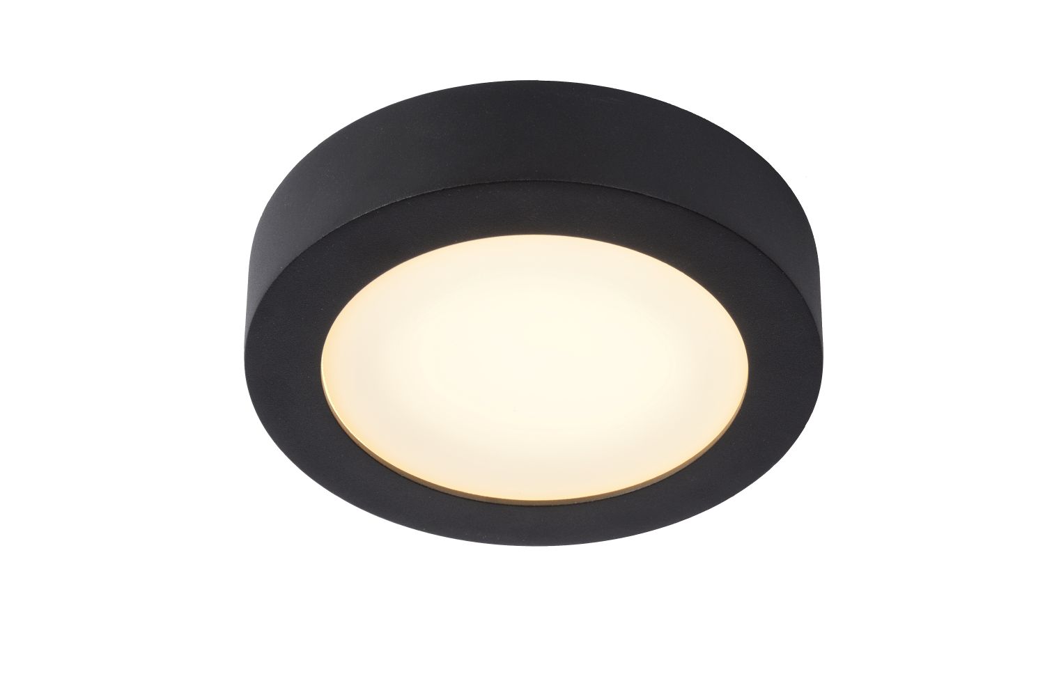 Plafondlamp - zwart - rond - dimbaar - Ø17,5cm - LED - 11W - IP44