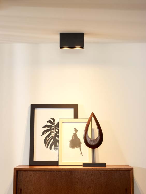 Plafondlamp - zwart - 2xGU10 - rechthoek