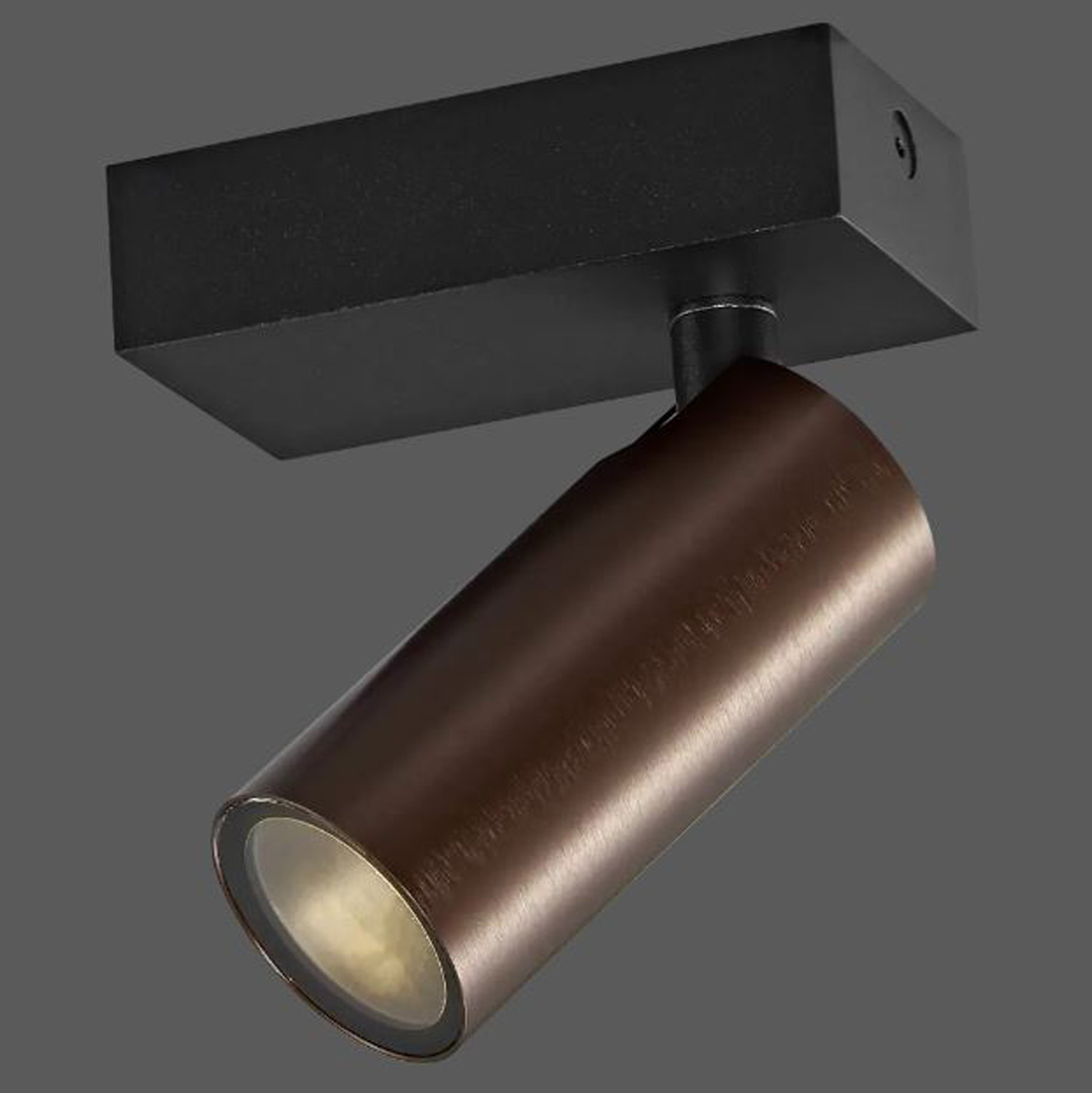 Spot en saillie - bronze brossé/noir - 9,5x5x13,1cm - 1xGU10 (MR11) max. 10W - IP44 - ampoules non incluses