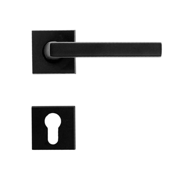 Poignée de porte pro erice noir rosace cylindre