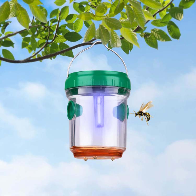 Piège à guêspes avec lampe solaire Piège à guêspes avec lampe solaire
