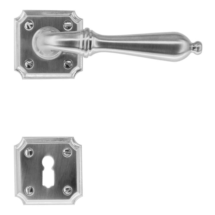 Deurkruk roselle inox look baardrozet