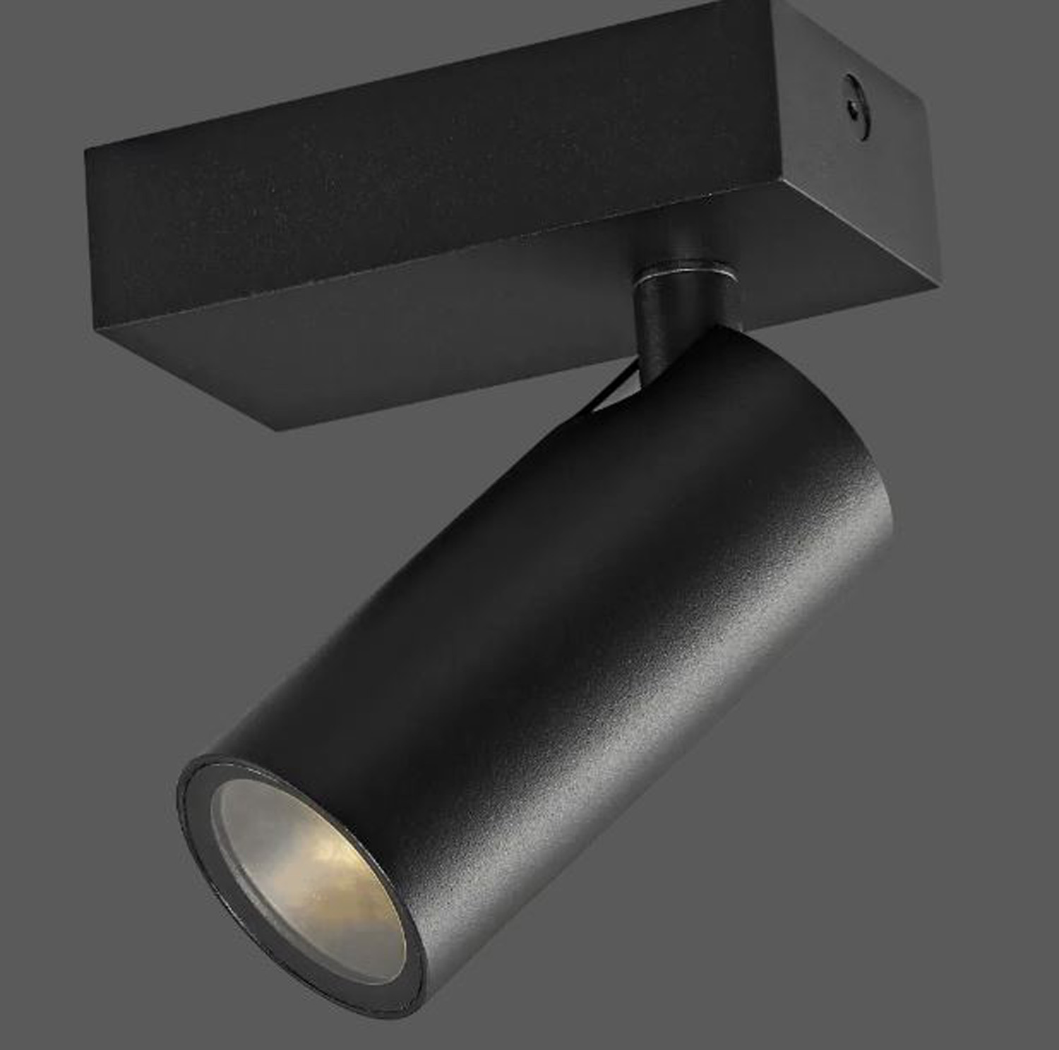 Spot en saillie - noir mat - 9,5x5x13,1cm - 1xGU10 (MR11) max. 10W - IP44 - ampoules non incluses