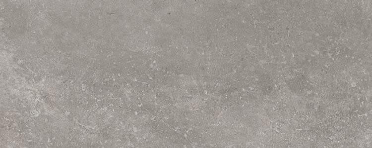 Wandtegel Focus mat grijs 25x50cm