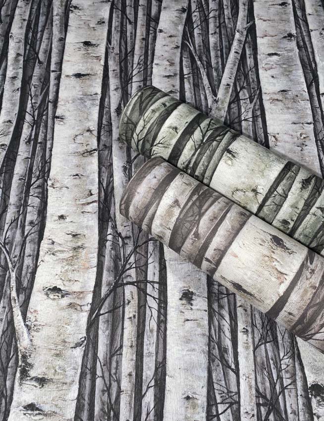 Vinyle sur papier peint intissé bouleau gris/beige 0,53x10m