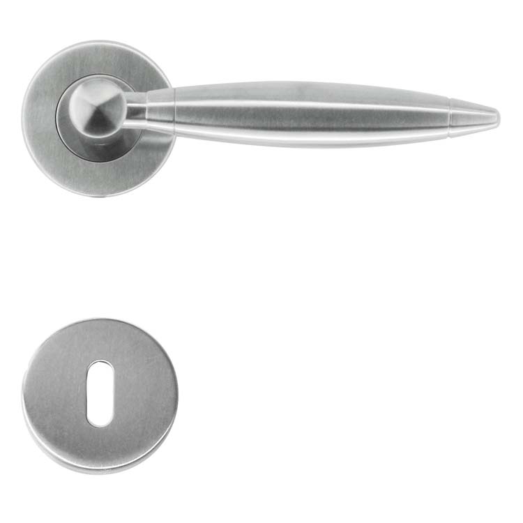 Poignée de porte pro salerno inox plus rosace barbe