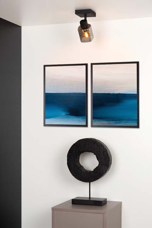 Plafondlamp - zwart - E14 - 25W