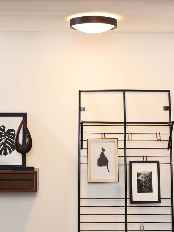 Plafondlamp - zwart - dimbaar - LED - Ø33cm - E27 - 9W