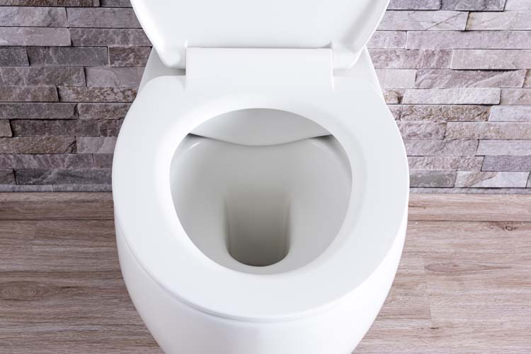 Toilette suspendue Holly sans rebord blanc mat