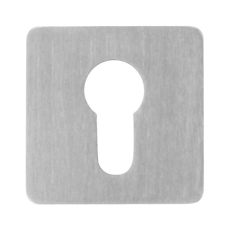 Plaque cylindre pro rondine inox plus