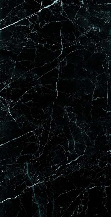 Échantillon carrelage de sol et mural Nero Marquina noir