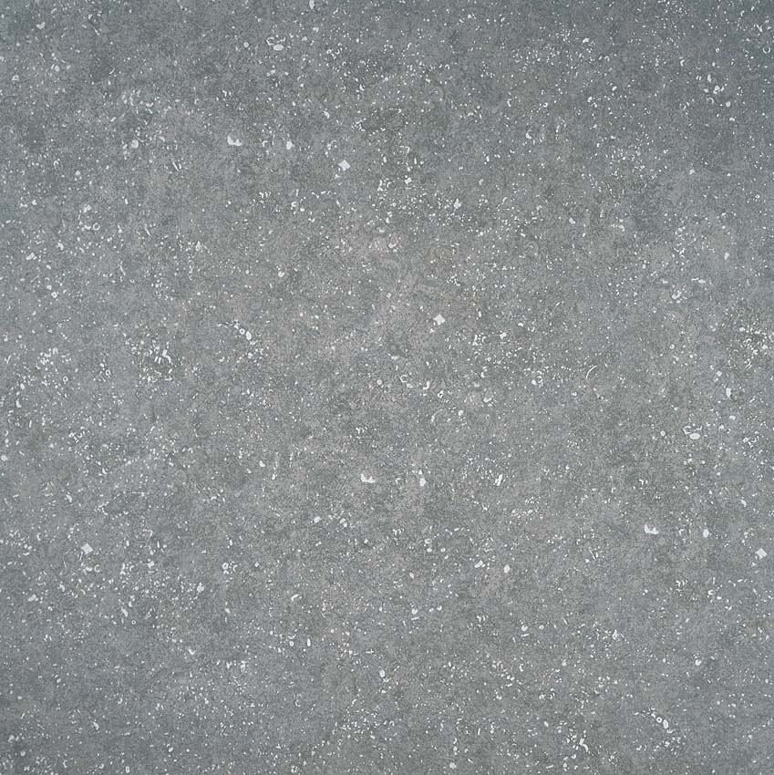 Dalle de terrasse Pierre De Semois gris 60x60x2cm