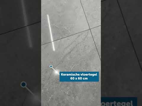 Carrelage Forte di marmi brillant gris claire 60x60