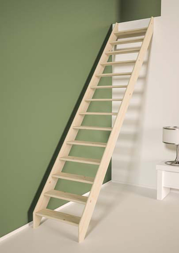 Molenaarstrap Bonn Evolution medium 300x70cm
