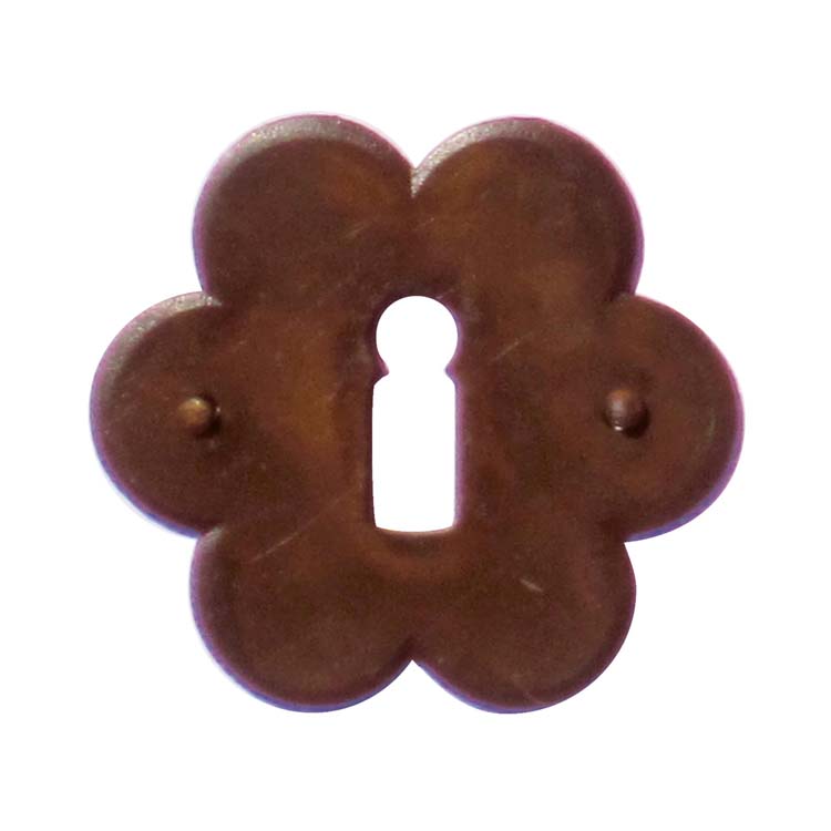 Entrée de clé pro fleur rouille
