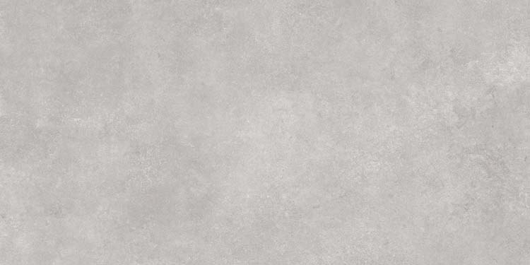 Carrelage de sol et mural Liam gris béton 60x120cm