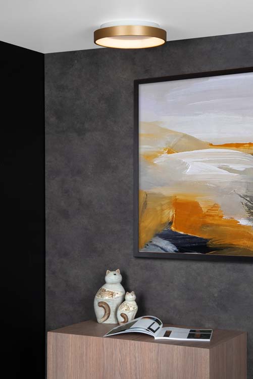 Plafondlamp - goud - dimbaar - Ø28cm - LED - 21W - 2700K