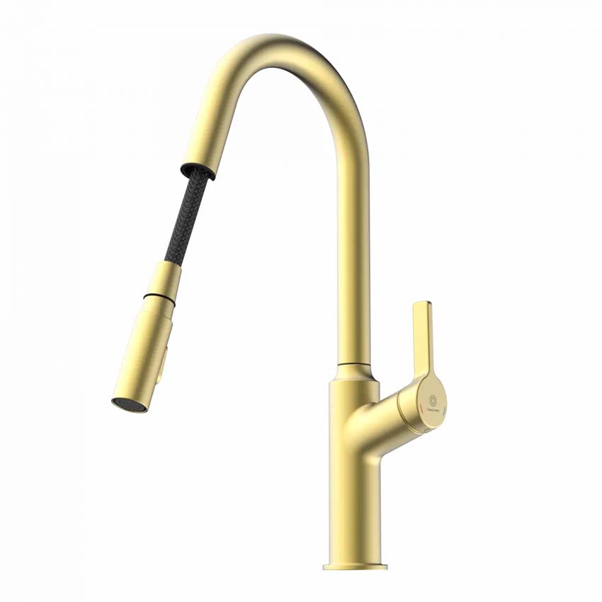 Keukenkraan Wasserwerk WK 12 mat goud met uittrekbare uitloop