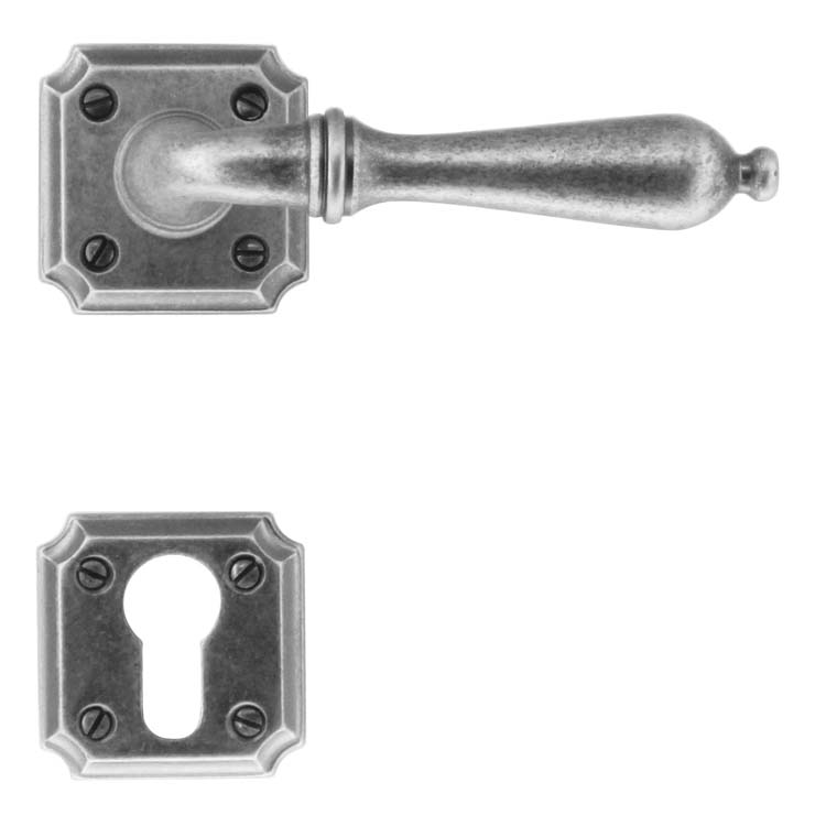 Poignée de porte pro roselle vieil argent rosace cylindre