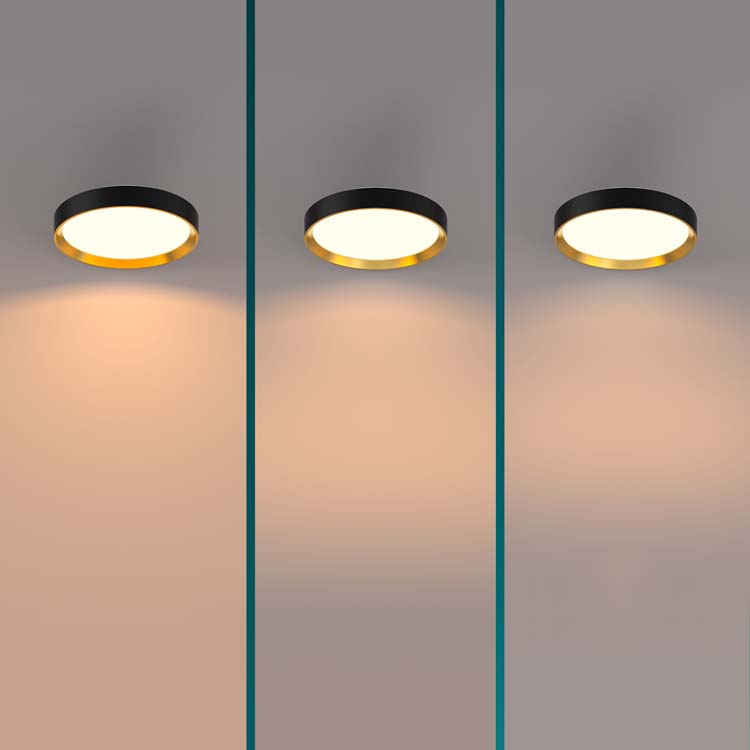 Plafondlamp - zwart/goud - 6,6xØ38,4cm - dimbaar - LED - 1x24W - 2700K