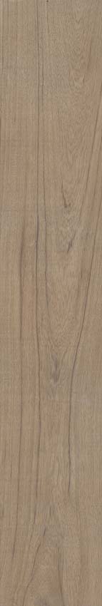 Carrelage de sol et mural Paloma chêne 20x120cm