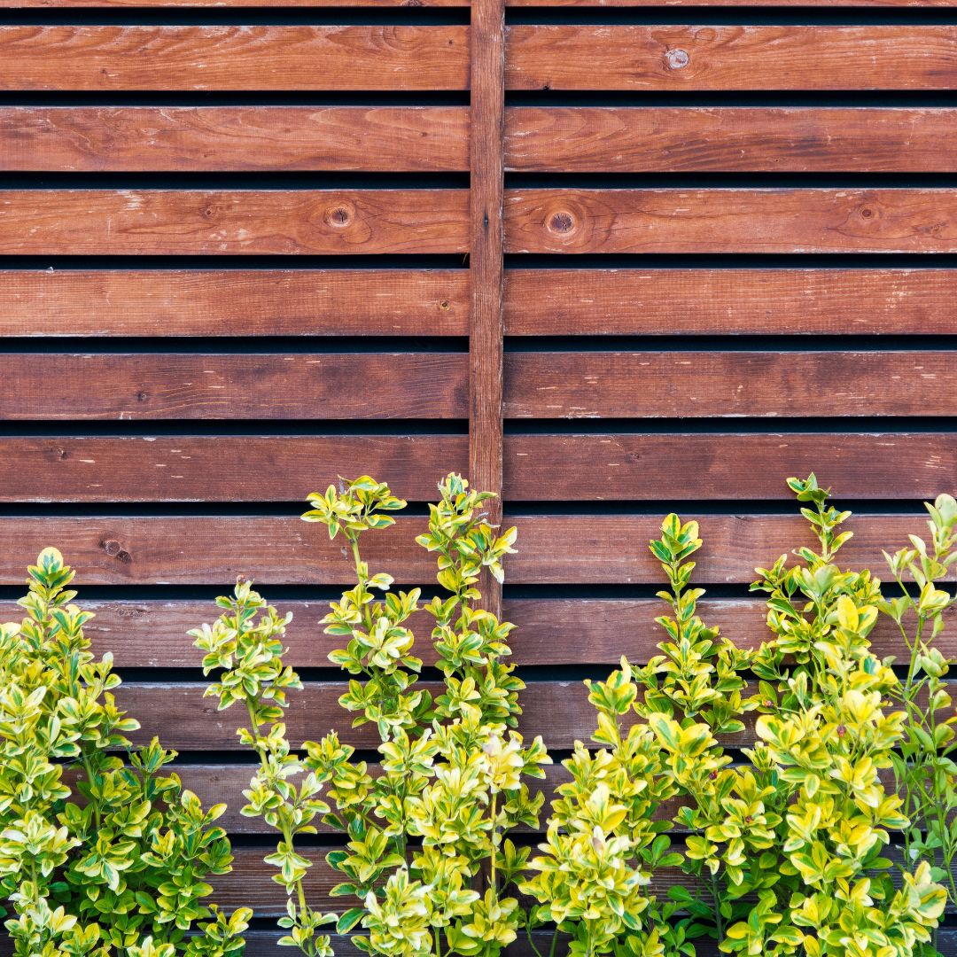 Houten beschutting beitsen