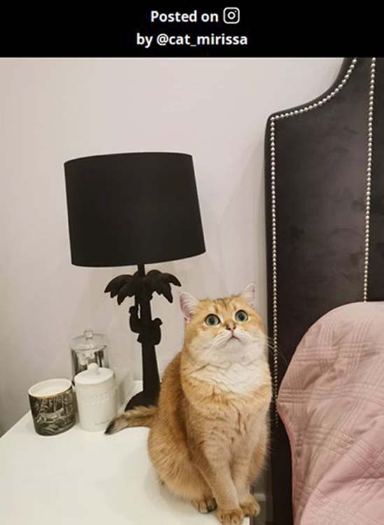 Lampe de table palmier - noir - H50cm - E27 - 60W