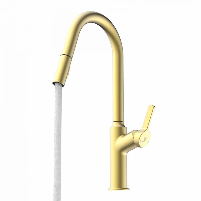 Keukenkraan Wasserwerk WK 12 mat goud met uittrekbare uitloop